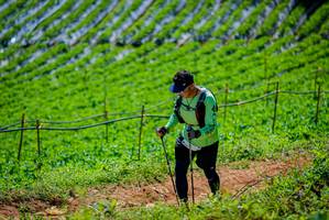 BIB: 
                            <button type="button" onclick="openModal(19164556)" class="btn btn-primary btn-sm float-right btn-popup" data-toggle="modal" data-target=".modal-high-quality">
                        <i class="fas fa-shopping-cart"></i> Add to Cart
                    </button>
                                            <button type="button" onclick="isThisMe(19164556, true)" class="btn btn-success btn-sm float-right btn-popup btn-isme hidden" data-toggle="tooltip" data-placement="bottom" title="นี่คือรูปของคุณใช่ไหม คลิกที่นี่เพื่อเอาเข้าอัลบั้ม">
                        <i class="fas fa-plus"></i> Add to album
                    </button>
                    <button type="button" onclick="isThisMe(19164556, false)" class="btn btn-warning btn-sm float-right btn-popup btn-isnotme hidden">
                        <i class="fas fa-ban"></i> Remove from album
                    </button>